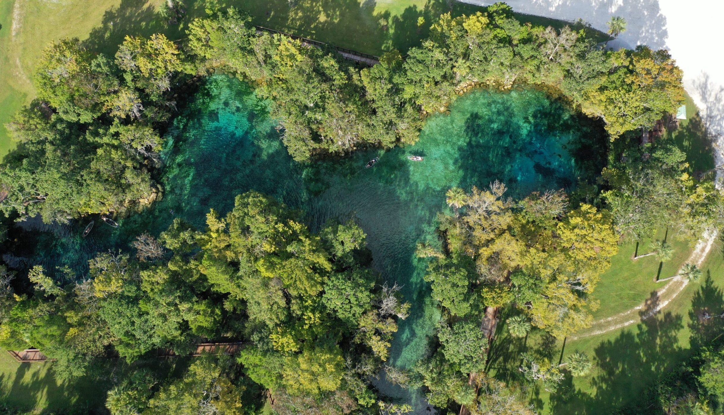Things to do in Crystal River - Springs In Florida