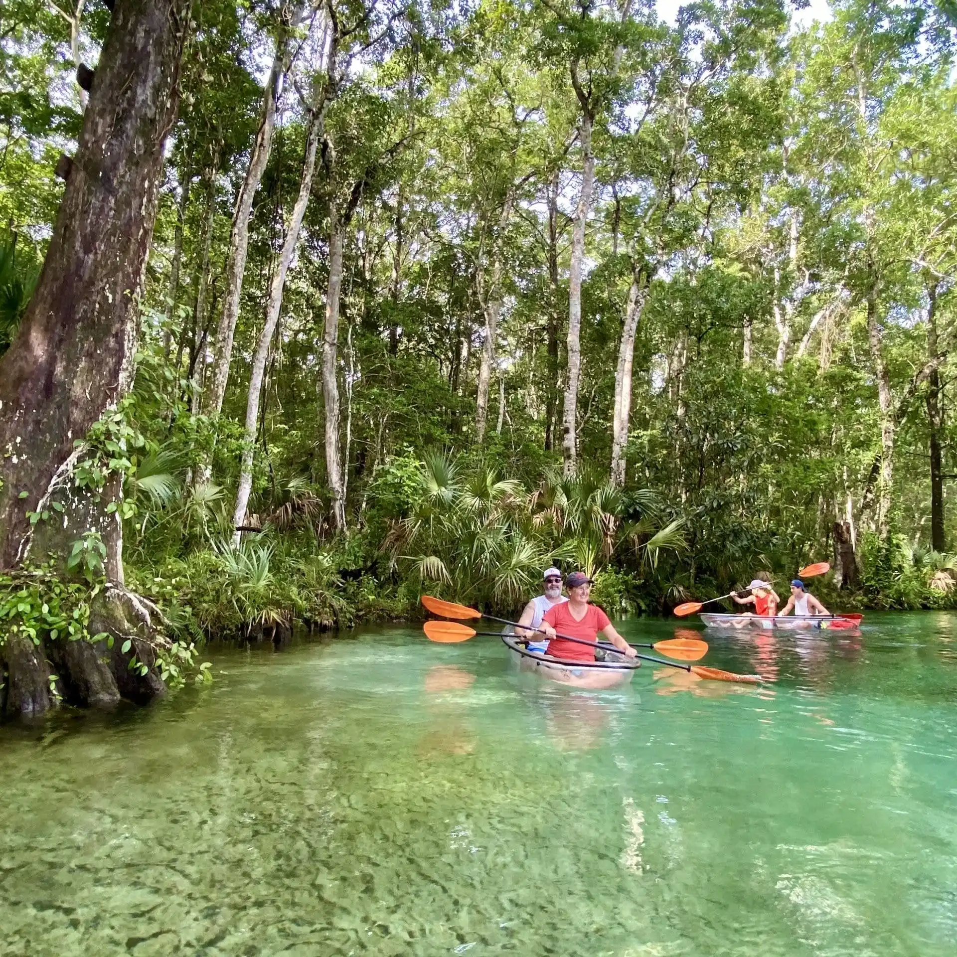 a group of people in a body of water surrounded by trees
