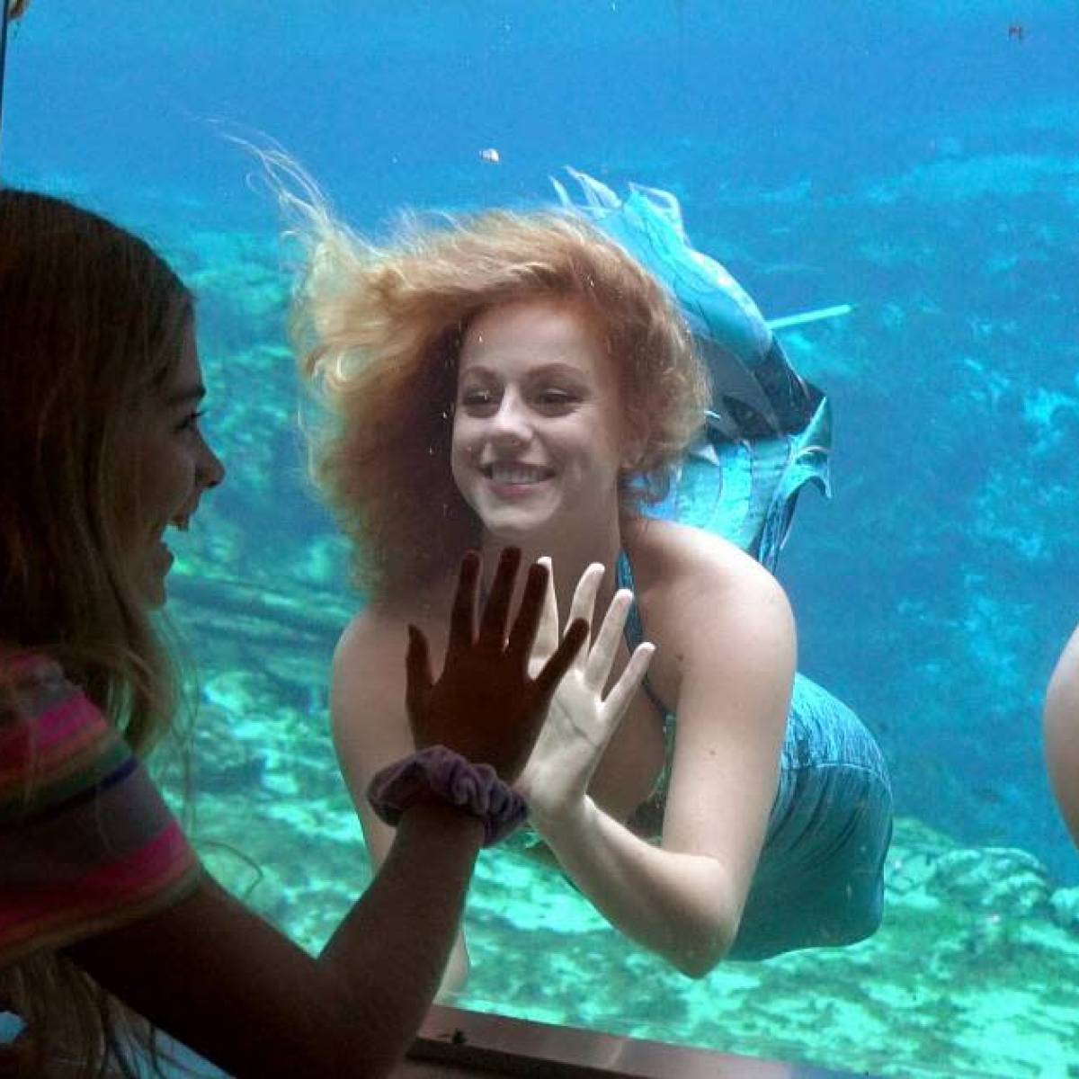 a group of people swimming in the water