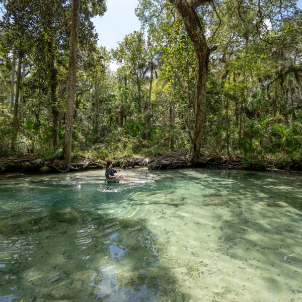 Things to do in Chassahowitzka Springs – Springs in Florida