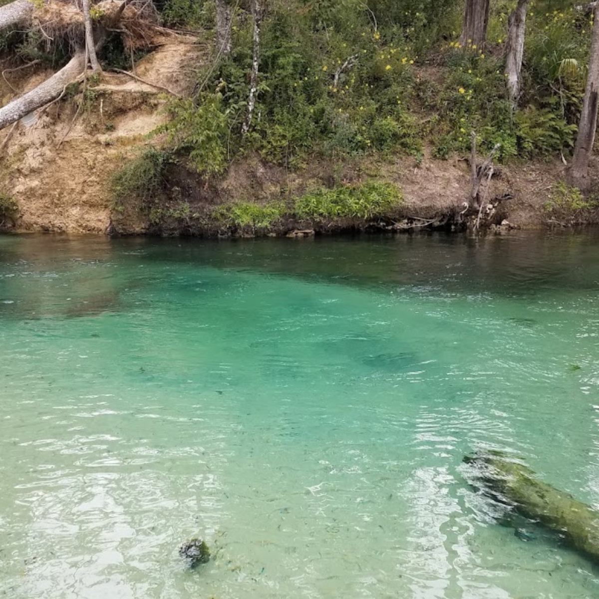 Emerald Spring Emerald Spring