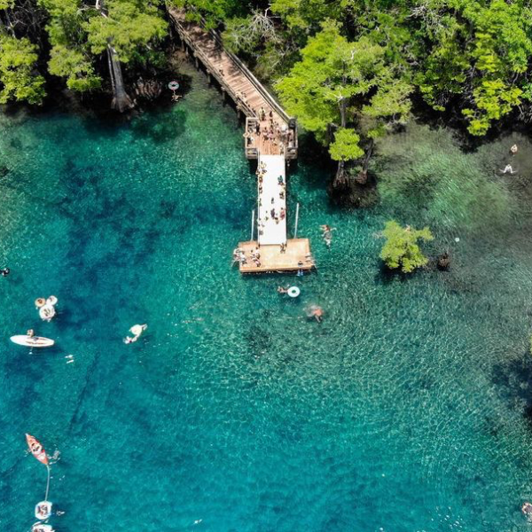 a garden with water in the background
