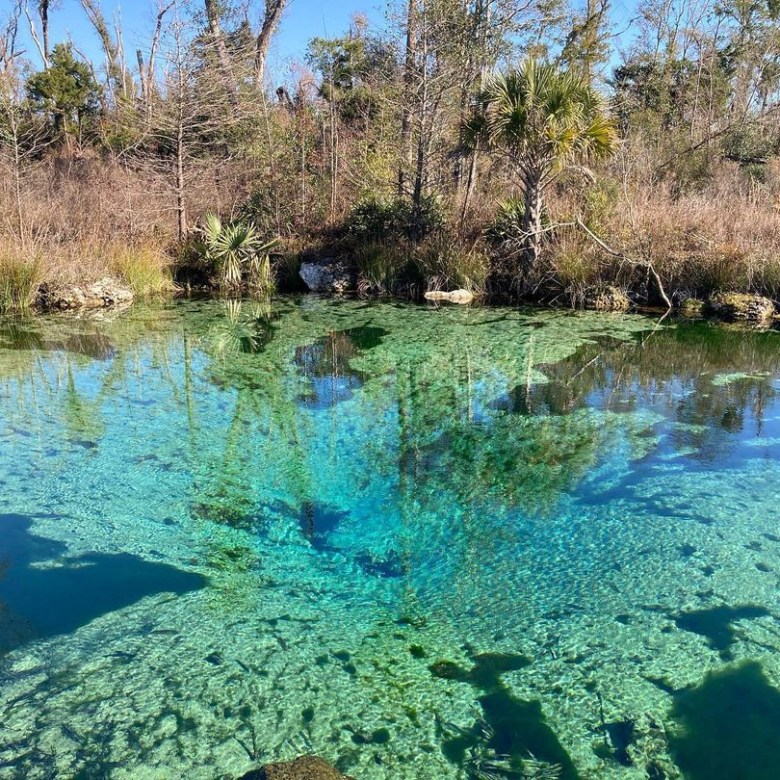 Pitt Spring Recreation Area a body of water surrounded by trees
