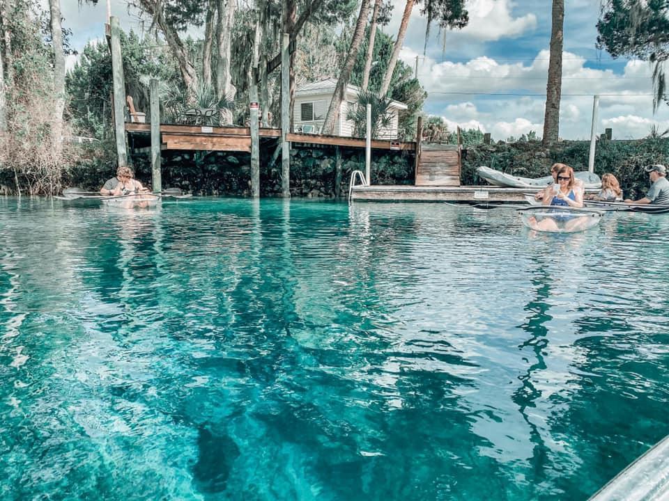 Springs In Florida | Jurassic Spring